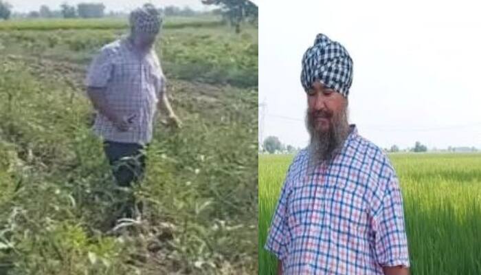 Farmer Sher Singh of Jalandhar has been doing only Organic Farming for many years, growing Organic Vegetables ਜਲੰਧਰ ਦਾ ਇਹ ਕਿਸਾਨ ਕਈ ਸਾਲਾਂ ਤੋਂ ਕਰ ਰਿਹਾ ਸਿਰਫ ਔਰਗੈਨਿਕ ਖੇਤੀ , ਉਗਾਉਂਦਾ ਔਰਗੈਨਿਕ ਸਬਜ਼ੀਆਂ