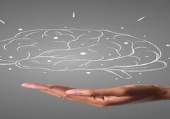 कितने जीबी का होता है इंसानी दिमाग? पढ़िए ये दिलचस्प स्टोरी