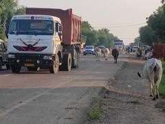 नेशनल हाईवे 34 पर जानवर दे रहे एक्सीडेंट को दावत, बीते दो सालों में हो चुकी है 120 लोगों की मौत