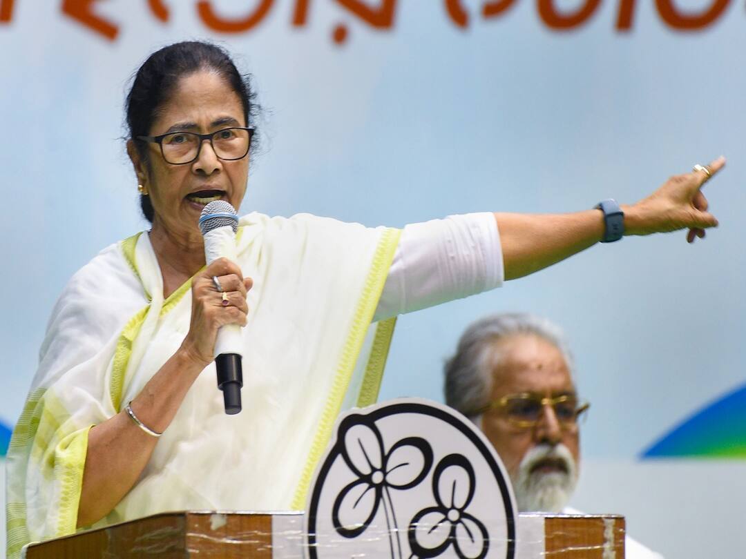 CM Mamata Banerjee: '2024 ఎన్నికల్లో మోదీపై సమష్టిగా పోరాడతాం- నితీశ్తో కలిసే' CM Mamata Banerjee Says Nitish Kumar Hemant Soren and I Will fight 2024 Polls Together CM Mamata Banerjee: '2024 ఎన్నికల్లో మోదీపై సమష్టిగా పోరాడతాం- నితీశ్తో కలిసే'