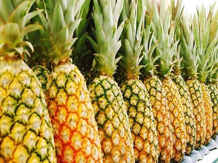 Manipur's GI Tag Pineapple became the pride of Dubai's markets along with huge worldwide demand Pineapple GI Tag: दुबई के बाजारों की शान बना मणिपुर का GI Tag अनानास, इन देशों में भी होती है भारी डिमांड