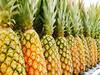 Pineapple GI Tag: दुबई के बाजारों की शान बना मणिपुर का GI Tag अनानास, इन देशों में भी होती है भारी डिमांड