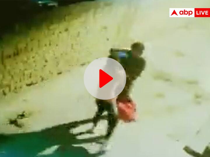 Delhi Woman clashed with mobile snatch in Badarpur Video Viral Viral Video: दिल्ली में मोबाइल झपटमार से भिड़ गई बहादुर महिला, वीडियो सोशल मीडिया पर वायरल