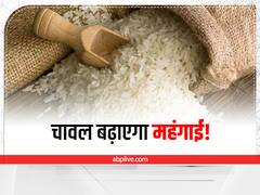 गहरा सकता है चावल का संकट! खाद्य सचिव बोले, सूखे के चलते घट सकती है पैदावार