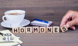 Balancing Hormones:  હોર્મોન્સના અસંતુલનથી પરેશાન છો? આ કુદરતી જડીબુટ્ટીઓ  બેલેન્સ કરવામાં કરશે મદદ
