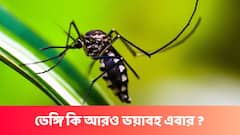 হু হু করে বাড়ছে ডেঙ্গি, ২৪ ঘণ্টায় রাজ্যে নতুন করে আক্রান্তের সংখ্যা ভয় ধরানো