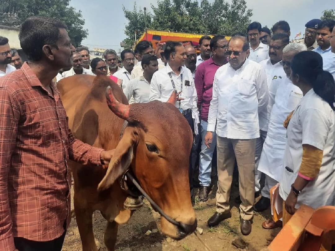 Radhakrishna Vikhe Patil : जनावरांच्या लसीकरणाबाबत युद्ध पातळीवर उपाययोजना राबवा, पशुसंवर्धन मंत्री विखे पाटलांच्या सूचना Lumpy Skin Disease News Implement immediate measures regarding vaccination of animals, advises Animal Husbandry Minister Radhakrishna Vikhe Patil Radhakrishna Vikhe Patil : जनावरांच्या लसीकरणाबाबत युद्ध पातळीवर उपाययोजना राबवा, पशुसंवर्धन मंत्री विखे पाटलांच्या सूचना