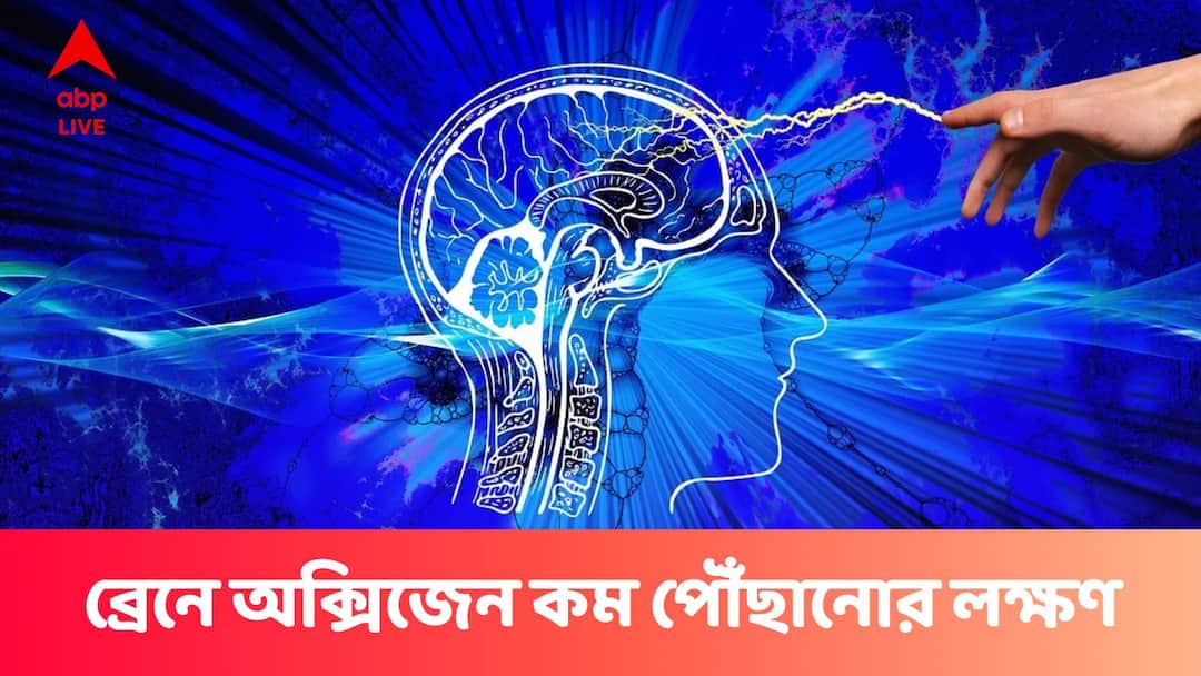 Cerebral Hypoxia : মাথায় অক্সিজেন কম পৌঁছচ্ছে বুঝবেন কীভাবে ? এই সাধারণ লক্ষণগুলিও কিন্তু ওয়ার্নিং বেল How does interruption of constant oxygen flow to the brain affects body ABP Live Exclusive Cerebral Hypoxia : মাথায় অক্সিজেন কম পৌঁছচ্ছে বুঝবেন কীভাবে ? এই সাধারণ লক্ষণগুলিও কিন্তু ওয়ার্নিং বেল