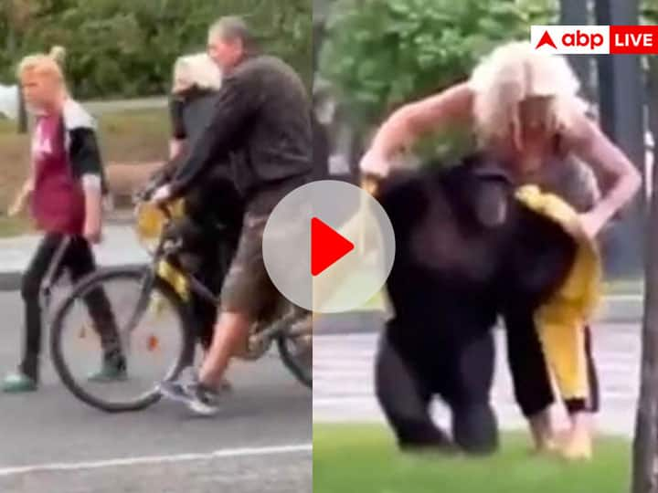 Chimpanzee ran away from the zoo in Ukraine returned cycle viral video on social media Zoo से भागा चिम्पांजी, साइकिल का लालच देकर लाया गया वापस, देखिए ये मजेदार Video 