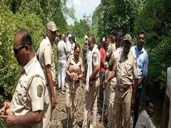 Wardha News : जंगल परिसरात मासोळी पकडण्यासाठी गेलेल्या व्यक्तीवर वाघाचा हल्ला; तीन दिवसांनंतर आढळले शरीराचे तुकडे