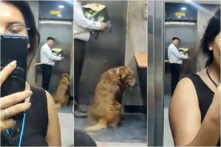 Pet Dog In Housing Society: Woman and youth clash over dog in Noida, Video Viral Watch: ਕੁੱਤੇ ਨੂੰ ਲਿਫਟ 'ਚ ਲਿਜਾਣ ਲਈ ਦੋ ਔਰਤਾਂ 'ਚ ਝੜਪ, ਬਹਿਸਬਾਜ਼ੀ ਦੀ ਵੀਡੀਓ ਸੋਸ਼ਲ ਮੀਡੀਆ 'ਤੇ ਹੋਈ ਵਾਇਰਲ