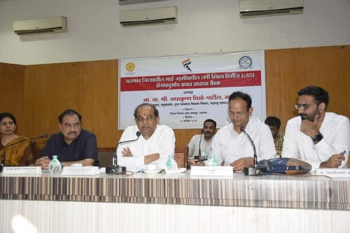 Radhakrishna Vikhe Patil : जनावरांच्या लसीकरणाबाबत युद्ध पातळीवर उपाययोजना राबवा, पशुसंवर्धन मंत्री विखे पाटलांच्या सूचना