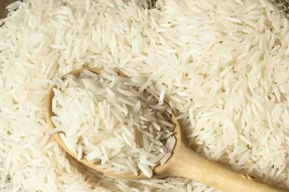 Pusa Basmati will not get scorch and gust disease, 3 advanced varieties of paddy developed ਪੂਸਾ ਬਾਸਮਤੀ ਨੂੰ ਨਹੀਂ ਲੱਗੇਗਾ ਝੁਲਸ ਰੋਗ, ਝੋਨੇ ਦੀਆਂ 3 ਉੱਨਤ ਕਿਸਮਾਂ ਵਿਕਸਤ