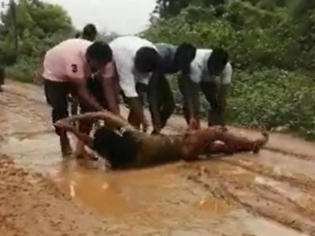 A ward member of the YSRCP Worker laidowon on mud road to construct a road to his village. AP Roads : రోడ్డు కోసం పొర్లు దండాలు - వైఎస్ఆర్‌సీపీ వార్డు సభ్యుడి వింత నిరసన !