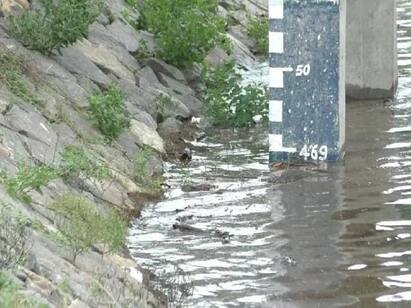Vaniyaru dam water level rises to 62 feet farmers feel happy TNN தருமபுரி: வாணியாறு அணையின் நீர்மட்டம் 62 அடியாக உயர்வு - விவசாயிகள் மகிழ்ச்சி