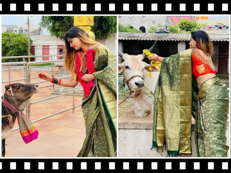 Shivani Narayanan shares divine saturday post on her Instagram கோமாதா பூஜை... மாலையும் கழுத்துமாக பரிகாரம் செய்தாரா ஷிவானி?