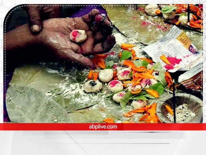 अगर आप गाय का दान नही कर सकतें हैं तो गौशाला या अन्य जगह पर जाकर गाय की सेवा करके भी पुण्य कमा सकते हैं. पितृ पक्ष के किसी भी गाय चारा या रोटी जरूर खिलाएं.