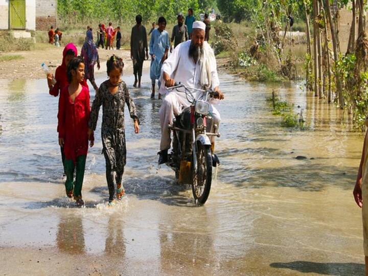 The flood has caused a huge financial blow to Pakistan, a loss of 18 billion dollars Pakistan Flood : महापुराचा पाकिस्तानला मोठा आर्थिक फटका, 18 अब्ज डॉलरचं नुकसान, आत्तापर्यंत 1 हजार 325 जणांचा मृत्यू 