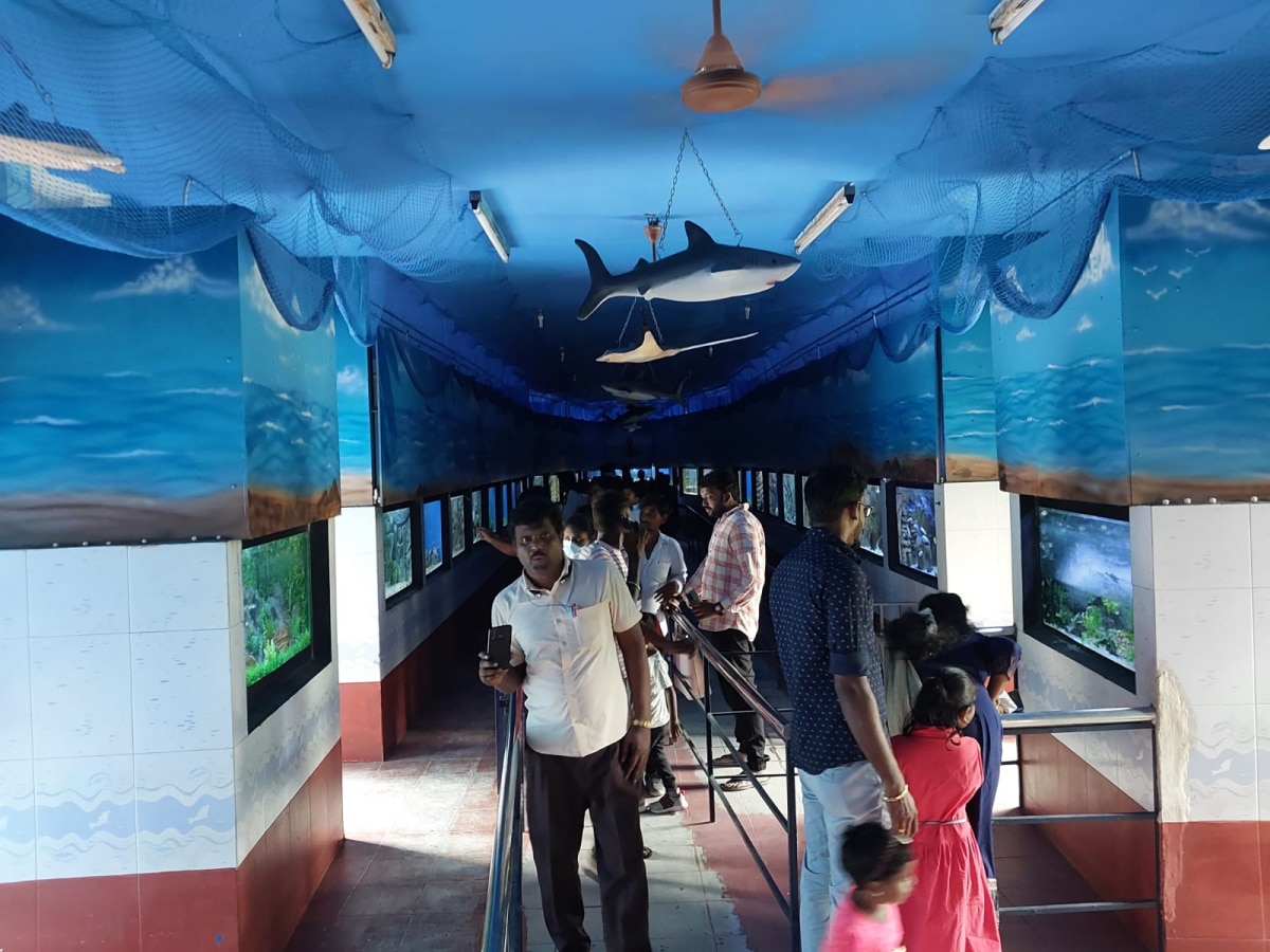 Aquarium : தரமாக தயாரான வண்டலூர் உயிரியல் பூங்கா... திறக்கப்பட்ட மீனகம்.. மகிழ்ச்சியில் பார்வையாளர்கள்