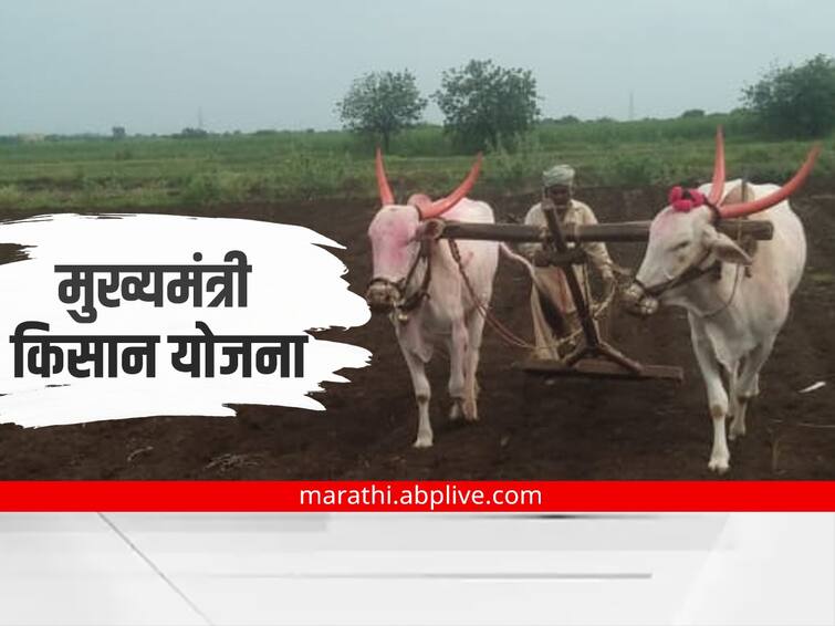 Agriculture News 'Mukhya Mantri Kisan Yojana' will be implemented in Maharashtra Agriculture News : मोठी बातमी ! आता राज्यातही 'मुख्यमंत्री किसान योजना' लागू होणार, शेतकऱ्यांना मिळणार लाभ