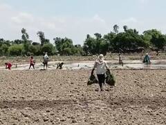 किसान सम्मान निधि का लाभ ले रहे अपात्र किसानों से वसूला गया पैसा, अब बड़ी कार्रवाई की तैयारी में विभाग