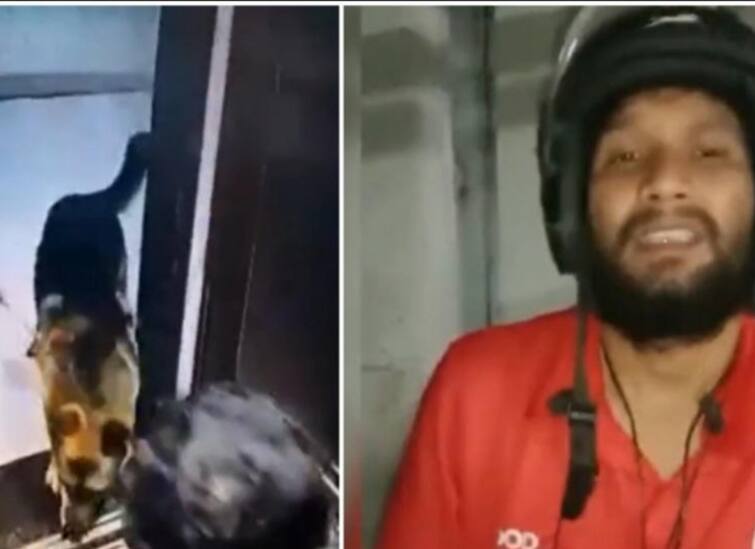 Mumbai Pet Dog Attacks And Bites Zomato Delivery Boy Private Part In An Upscale Society Lift லிஃப்டில் இறங்கிய சொமேட்டோ ஊழியர்! அந்தரங்க பகுதியில் பாய்ந்த நாய்! தொடரும் நாய் தாக்குதல்கள்!