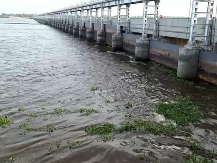 mayanur dam water flow decreased கரூர்: மாயனூர் கதவணைக்கு  நீர் வரத்து குறைந்தது