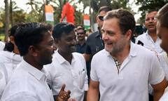 હવે ભાજપના નિશાને રાહુલની ટિશર્ટ, જાણો કેટલી કિંમત હોવાનું કર્યું ટ્વિટ