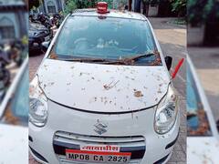 इंदौर में कार में लाल बत्ती लगाकर नकली जज बन करता था ठगी, पुलिस ने जालसाज को किया गिरफ्तार