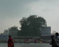 Gujarat Rains: રાજ્યમાં આજે ક્યાં ક્યાં છે વરસાદ, અહીં મેઘાથી બચવા લોકોએ બસ સ્ટેન્ડમાં મૂકી દોટ