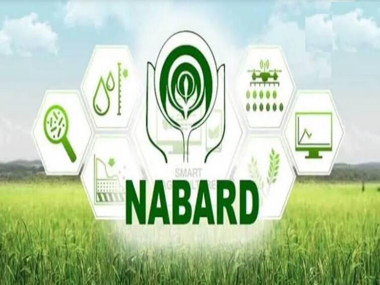 NABARD recruitment 2022: Apply for Development Assistant posts from Sept 15 NABARD Jobs: డిగ్రీ అర్హతతో కేంద్ర ప్రభుత్వ ఉద్యోగం, వెంటనే దరఖాస్తు చేసుకోండి