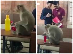 Funny Video: ਕਲਾਸ ਵਿੱਚ ਵੜਿਆ ਇੱਕ ਬਾਂਦਰ, ਵਿਦਿਆਰਥੀਆਂ ਨੇ ਕੀਤਾ ਖੂਬ ਮਸਤੀ, ਬਹੁਤ ਮਜ਼ਾਕੀਆ ਹੈ ਇਹ ਵੀਡੀਓ