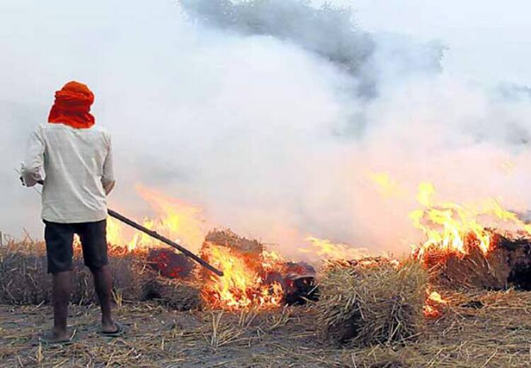 Punjab Govt's Strict Order, Directs red entry in farmers' revenue records along with penalty for stubble burning ਪੰਜਾਬ ਸਰਕਾਰ ਦਾ ਸਖ਼ਤ ਹੁਕਮ: ਪਰਾਲੀ ਸਾੜਨ 'ਤੇ ਜੁਰਮਾਨੇ ਦੇ ਨਾਲ-ਨਾਲ ਕਿਸਾਨਾਂ ਦੇ ਮਾਲ ਰਿਕਾਰਡ 'ਚ ਰੈੱਡ ਐਂਟਰੀ ਕਰਨ ਦੇ ਨਿਰਦੇਸ਼