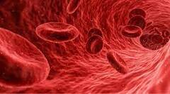 Improve Hemoglobin: હિમોગ્લોબિન વધારવાનો આસાન ઉપાય,ડાયટમાં આ ફૂડને કરો સામેલ