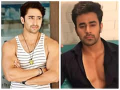 Shaheer Sheikh से लेकर Pearl V Puri तक इन सेलेब्स ने रियलिटी शो से अभी तक बना रखी है दूरी, लिस्ट में बड़े नाम शामिल