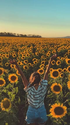 Sunflower Seeds : सूर्यफुलाच्या बियांचे आहेत अनेक फायदे