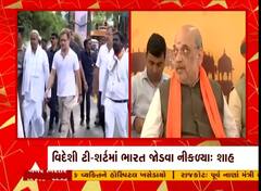 કૉંગ્રેસ નેતા રાહુલ ગાંધી પર અમિત શાહે સાધ્યું નિશાન