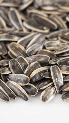 Sunflower Seeds : सूर्यफुलाच्या बियांचे आहेत अनेक फायदे