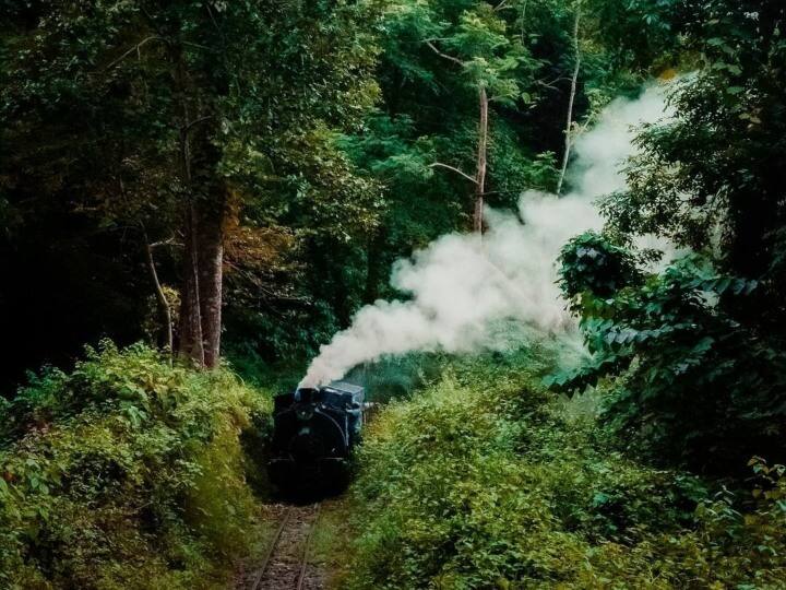 इस ट्रेन में सवारी करनी की खासियत यह है कि रास्ते में आपको जंगल, पहाड़, झरने, बादल, बारिश या फिर ठंडो में स्नोफॉल आदि बड़ी आसानी से देखने को मिल जाते हैं.