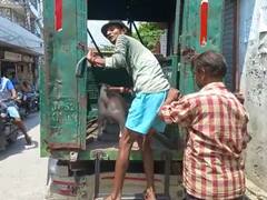 लखनऊ में पड़ोसी के कुत्ते ने प्राइवेट पार्ट पर बोला हमला, लहुलुहान शख्स ने लगाए ये आरोप, पुलिस ने दर्ज किया मुकदमा