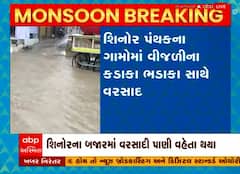 વડોદરાના ગ્રામ્ય વિસ્તારોમાં થયો વરસાદ, શિનોરના બજારમાં વરસાદી પાણી વહેતા થયા
