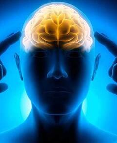 Walnut Eating Method : ਮਨ ਨੂੰ ਸ਼ਾਂਤ, ਬੁੱਧੀ ਨੂੰ ਤੇਜ਼ ਤੇ ਸਰੀਰ ਨੂੰ ਮਜ਼ਬੂਤ ਬਣਾਉਂਂਦੀ ਐ ਇਹ ਚੀਜ਼, ਜਾਣੋ ਕਿਵੇਂ ਖਾਈਏ