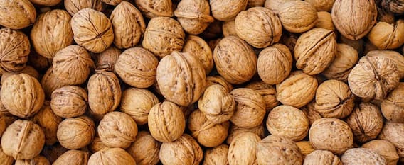 Walnut Eating Method : ਮਨ ਨੂੰ ਸ਼ਾਂਤ, ਬੁੱਧੀ ਨੂੰ ਤੇਜ਼ ਤੇ ਸਰੀਰ ਨੂੰ ਮਜ਼ਬੂਤ ਬਣਾਉਂਦਾ ਹੈ ਅਖਰੋਟ, ਜਾਣੋ ਕਦੋਂ ਅਤੇ ਕਿਵੇਂ ਖਾਈਏ ਅਖਰੋਟ