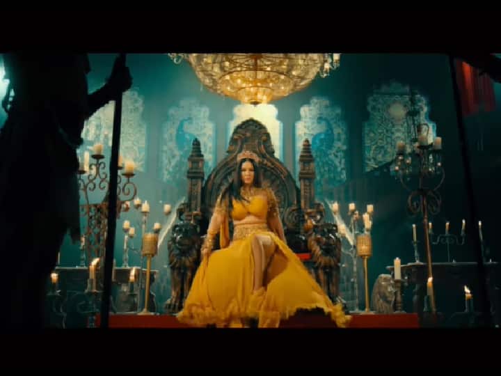 काही दिवसांपूर्वी तिची 'अनामिका' ही वेब सीरिज रिलीज झाली. या सारिजमध्ये अॅक्शन मोडमध्ये सनी दिसली. सनी लिओन करिअरसोबतच तिच्या वैयक्तिक आयुष्याबद्दलही चर्चेत असते. सनीला तीन मुले असून ती तिच्या पतीसोबत राहते. सनी अभिनय, नृत्य आणि शोजमधून करोडो रुपये कमावते.(फोटो सौजन्य : sunnyleone/इंस्टाग्राम)