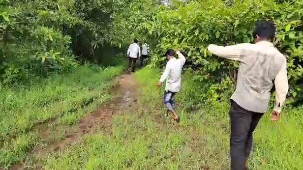 रस्ता नसल्याने एक महिन्यात वेळेत उपचार न मिळाल्याने दोन जणांचा सर्पदंशानं मृत्यू झाला आहे.