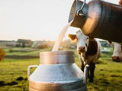 World Dairy Summit : उद्यापासून जागतिक दुग्ध व्यवसाय शिखर परिषद, पंतप्रधानांच्या हस्ते होणार उद्घाटन,  50 देशांतील तज्ज्ञ उपस्थित राहणार