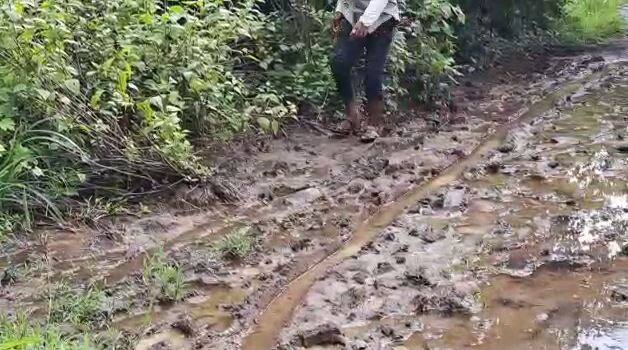 सर्पदंश झाल्यानंतर या दोघांना उपचारासाठी रुग्णालयात जायचं न्यायचं होतं, मात्र गावात यायला रस्ताच नसल्याने रुग्णवाहिका गावात येणे शक्य नव्हतं. 