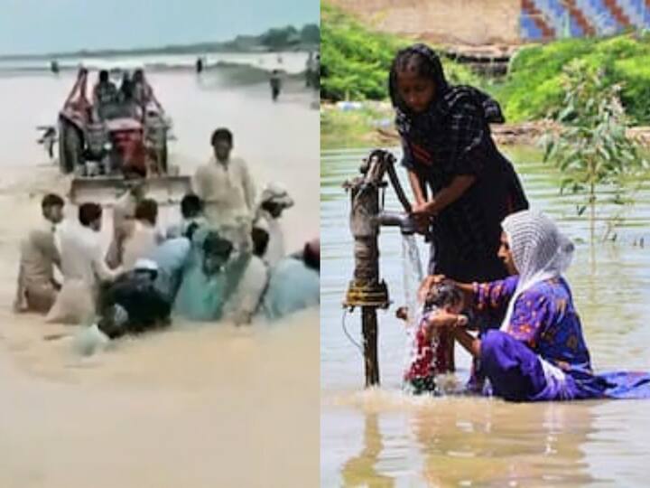 Pakistan floods 6-year-old girl dies of hunger Pakistan floods: பாகிஸ்தானில் வெள்ளத்தால் படாதபாடு படும் மக்கள்.. பசியால் உயிரிழந்த 6 வயது சிறுமி..!