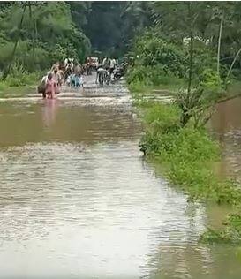 राज्याच्या विविध भागात पावसाची हजेरी