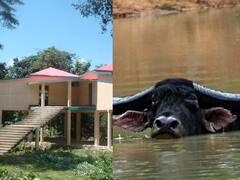 In Pics: पर्यटकों के लिए खुल जाएगा छत्तीसगढ़ का उदंती सीतानदी टाईगर रिजर्व, देखें तस्वीरें